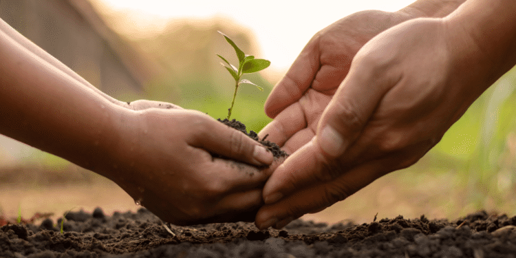 Nurturing Growth in Agribusiness 10 High-Potential Ventures