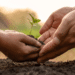 Nurturing Growth in Agribusiness 10 High-Potential Ventures