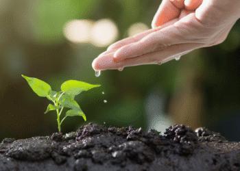 Outstanding Colleges for Agriculture in India: Nurturing the Seeds of Agricultural Excellence