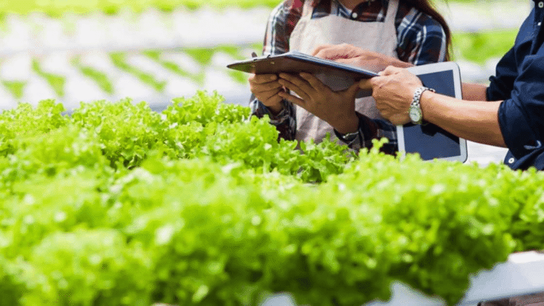 Growth Opportunities: Exploring Careers in Agriculture – The Agrotech Daily