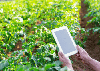 Smart Farming Advancing Responsibly with Agriculture 4.0