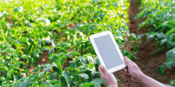 Smart Farming Advancing Responsibly with Agriculture 4.0