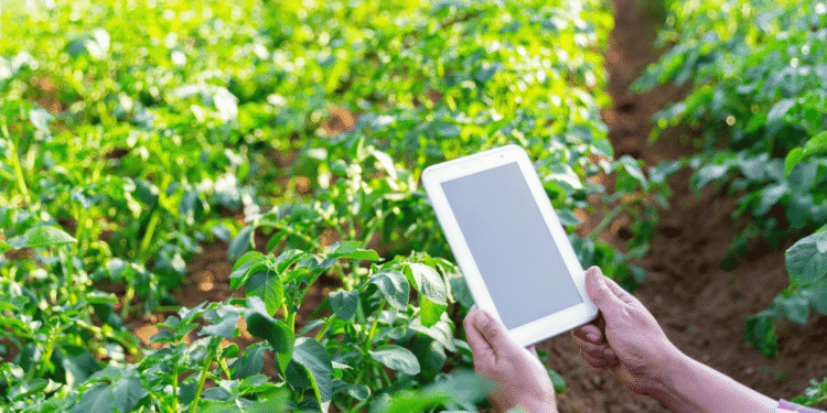 Smart Farming Advancing Responsibly with Agriculture 4.0