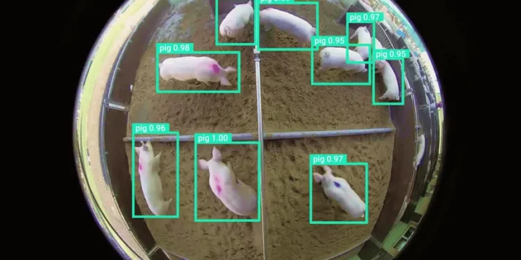AI Vision Systems: Predictive Crop and Livestock Management in UK Agriculture