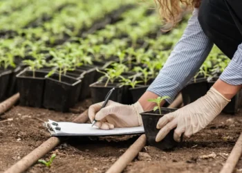 Soil Health Revolution: How UK Farmers Are Using Biological Testing to Increase Organic Matter and Reduce Inputs
