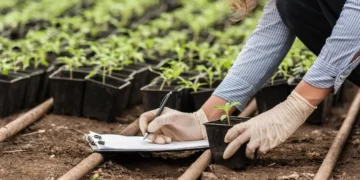 Soil Health Revolution: How UK Farmers Are Using Biological Testing to Increase Organic Matter and Reduce Inputs