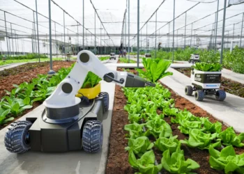 Retail-Led Automation: How Supermarkets are Driving the Autonomous Farming Revolution