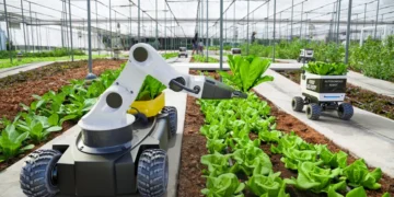 Retail-Led Automation: How Supermarkets are Driving the Autonomous Farming Revolution