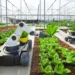 Retail-Led Automation: How Supermarkets are Driving the Autonomous Farming Revolution