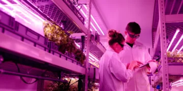 Aeroponic vs Hydroponic vs Aquaponic: Choosing the Right Soil-Free System for UK Commercial Production