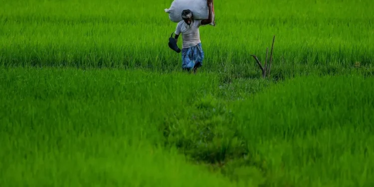 Farmers demand guaranteed law of assured MSP for 26 crops