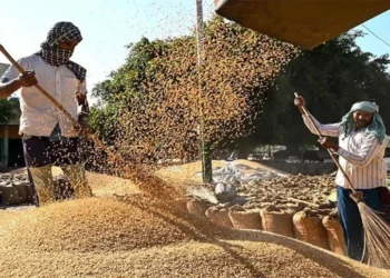 India to export 3.5-4 million tonnes of wheat to neighbouring countries