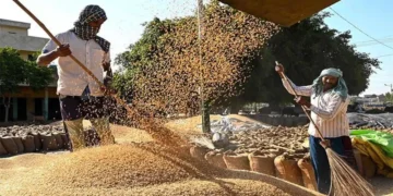 India to export 3.5-4 million tonnes of wheat to neighbouring countries