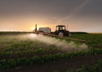 The Mainstream Adoption of Precision Agriculture in UK Farming: Trends, Barriers, and the Competitive Edge