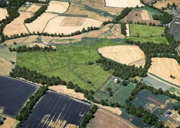 Biodiversity Net Gain: How UK Farmers Can Generate Revenue from Habitat Creation Under New Development Requirements