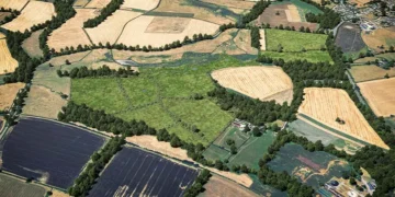 Biodiversity Net Gain: How UK Farmers Can Generate Revenue from Habitat Creation Under New Development Requirements