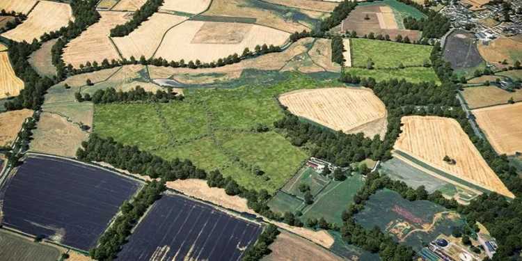 Biodiversity Net Gain: How UK Farmers Can Generate Revenue from Habitat Creation Under New Development Requirements