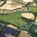 Biodiversity Net Gain: How UK Farmers Can Generate Revenue from Habitat Creation Under New Development Requirements