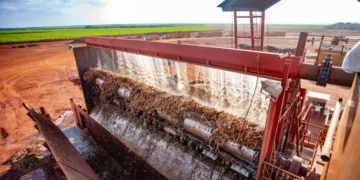 IIT Madras-MIT collaborate to develop technique to utilize agricultural-industrial waste