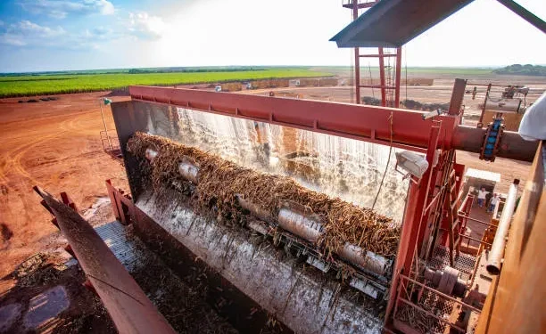 IIT Madras-MIT collaborate to develop technique to utilize agricultural-industrial waste