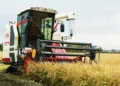 Mastering Combine Settings: A Practical Guide to Optimising Threshing, Separation and Cleaning