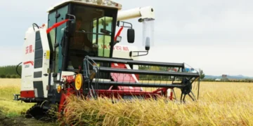 Mastering Combine Settings: A Practical Guide to Optimising Threshing, Separation and Cleaning