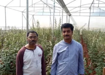 Tamil Nadu Agricultural University in collaboration with  Hi-Fi Biotech will produce Mass Multiplication of Banana Hybrids