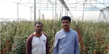 Tamil Nadu Agricultural University in collaboration with  Hi-Fi Biotech will produce Mass Multiplication of Banana Hybrids