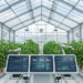 AI-Automated Greenhouse Control: How Machine Learning Is Optimising Temperature, Humidity and CO₂ for Maximum Yields