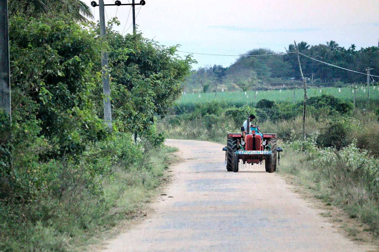 A tractor travelling along a narrow rural road lined with bushes and fields