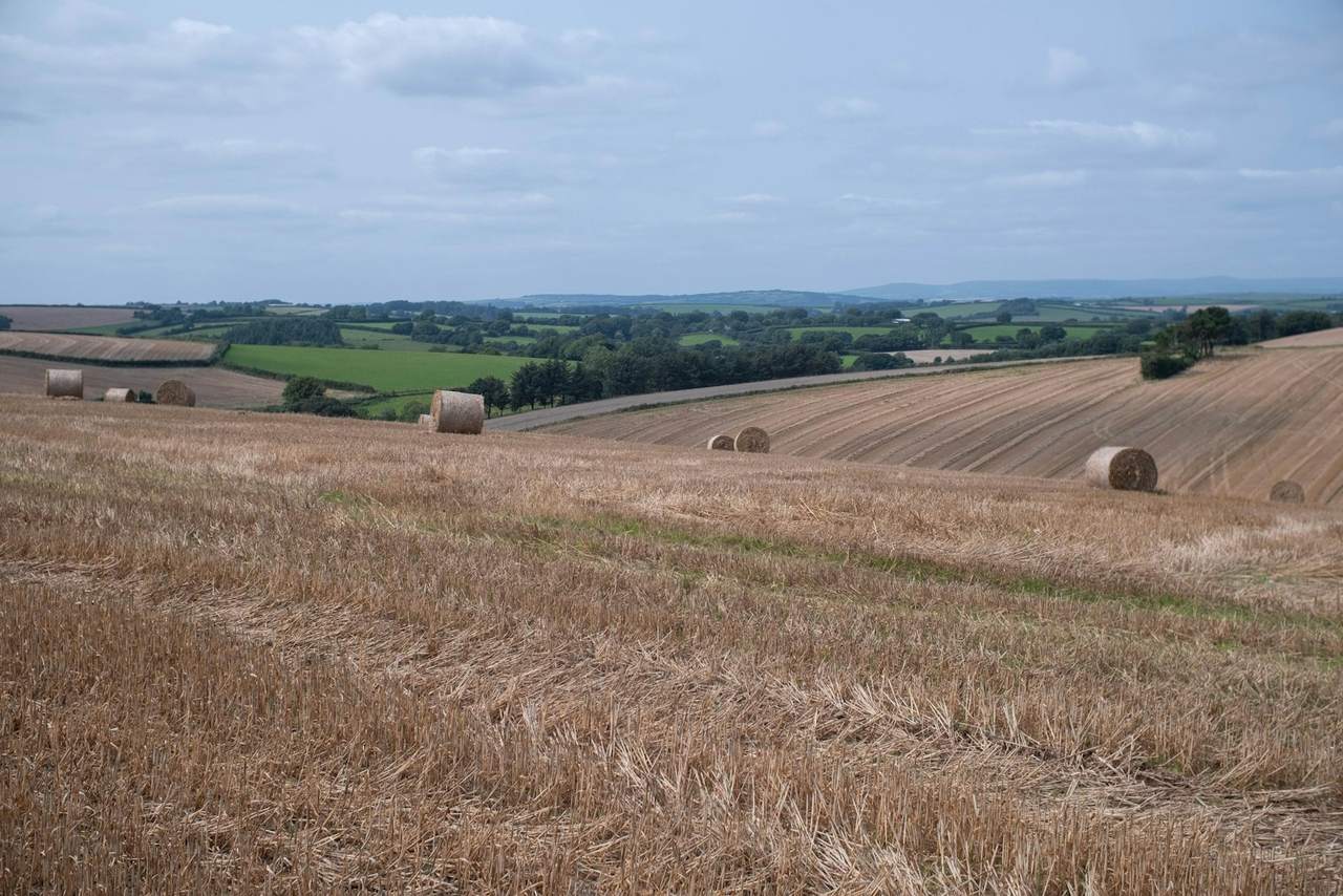 Round straw bales on a harvested field in rolling farmland under a grey sky