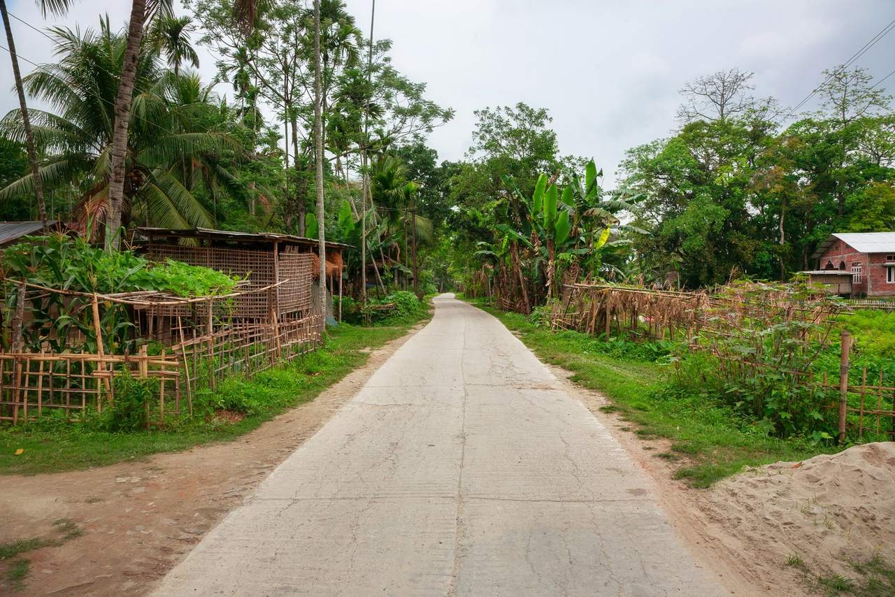 An empty concrete road running through a village lined with palms, banana plants and bamboo fences