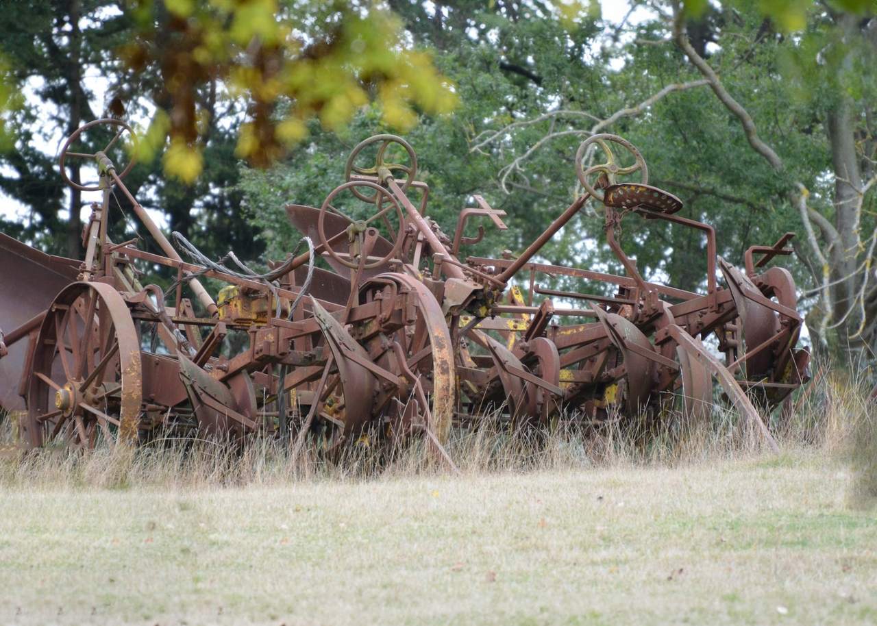 A row of old, rusted ploughs and other farm implements standing in long grass beside trees