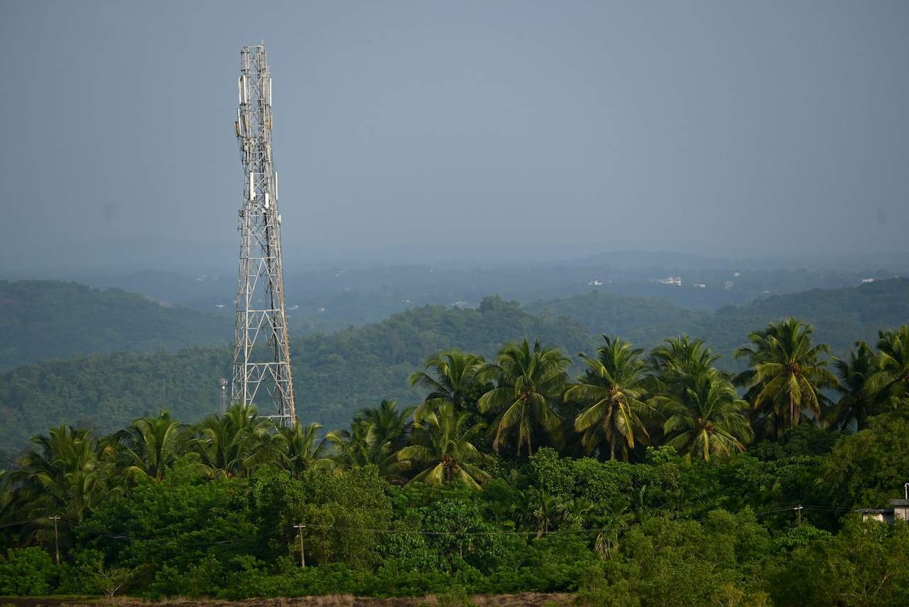 A telecommunications mast rising above palm trees and wooded hills under a grey sky