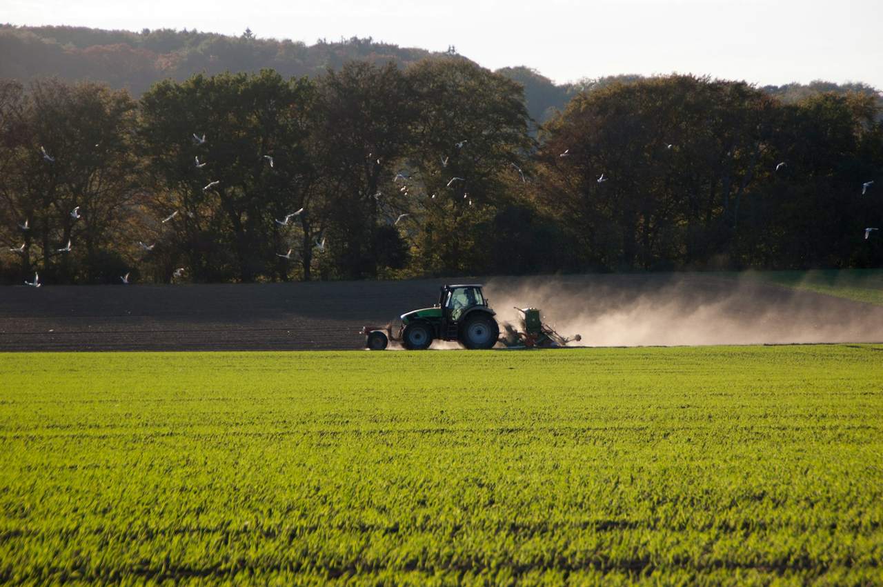 A tractor drilling a field in a cloud of dust, with gulls overhead and a green crop in front